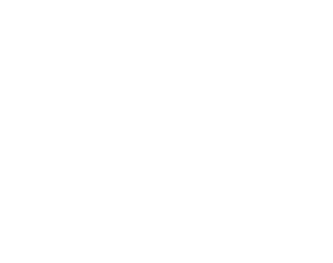 logo valdherault blanc