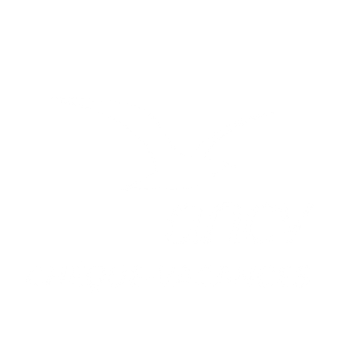 logo ancv cheque vacances 2025